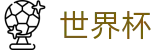 2026美加墨世界杯中国官网首页 | 2026年世界杯购票抽签流程全攻略